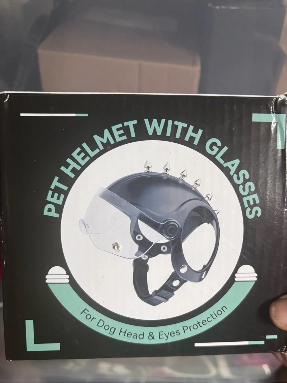 Black Dog Helmet with Clear Goggles - Small/Medium